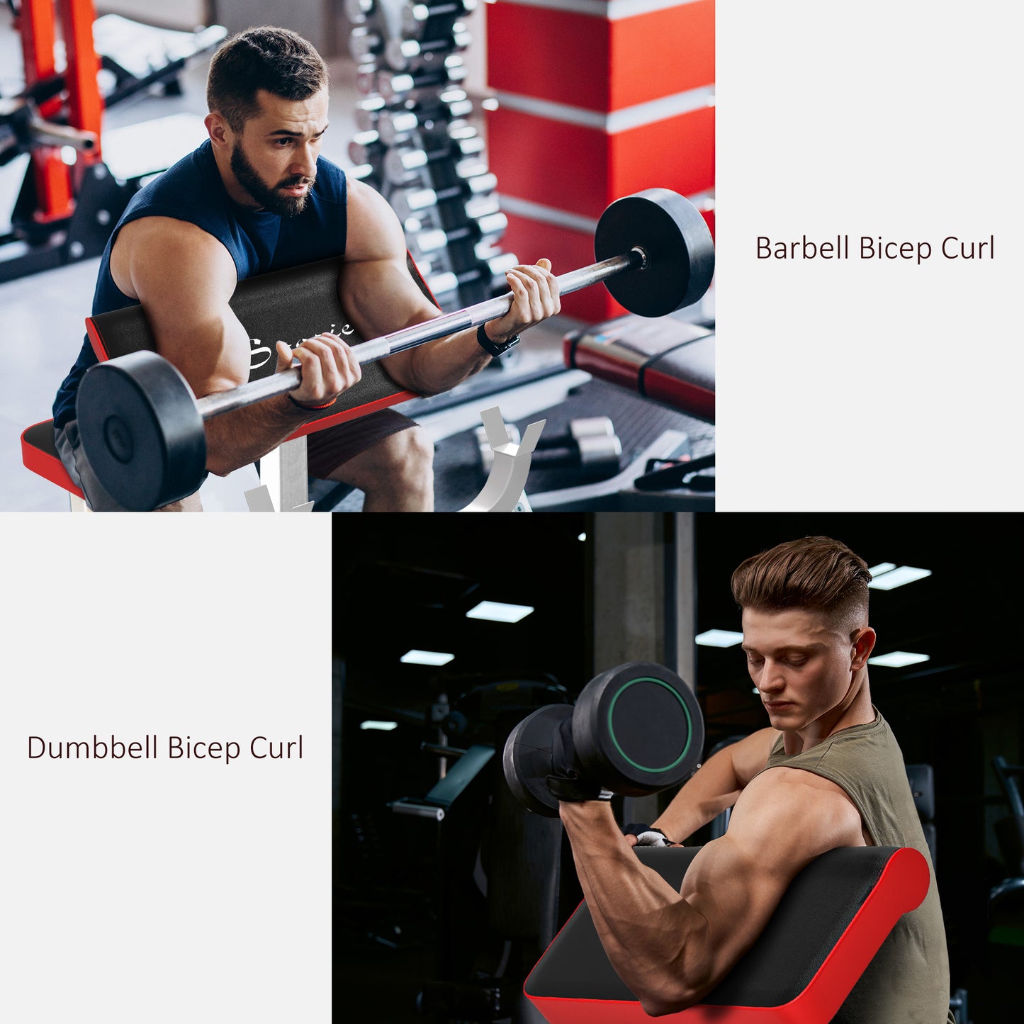 Preacher Curl Bench - Adjustable Bicep & Arm Isolation Station, 265 lb Capacity