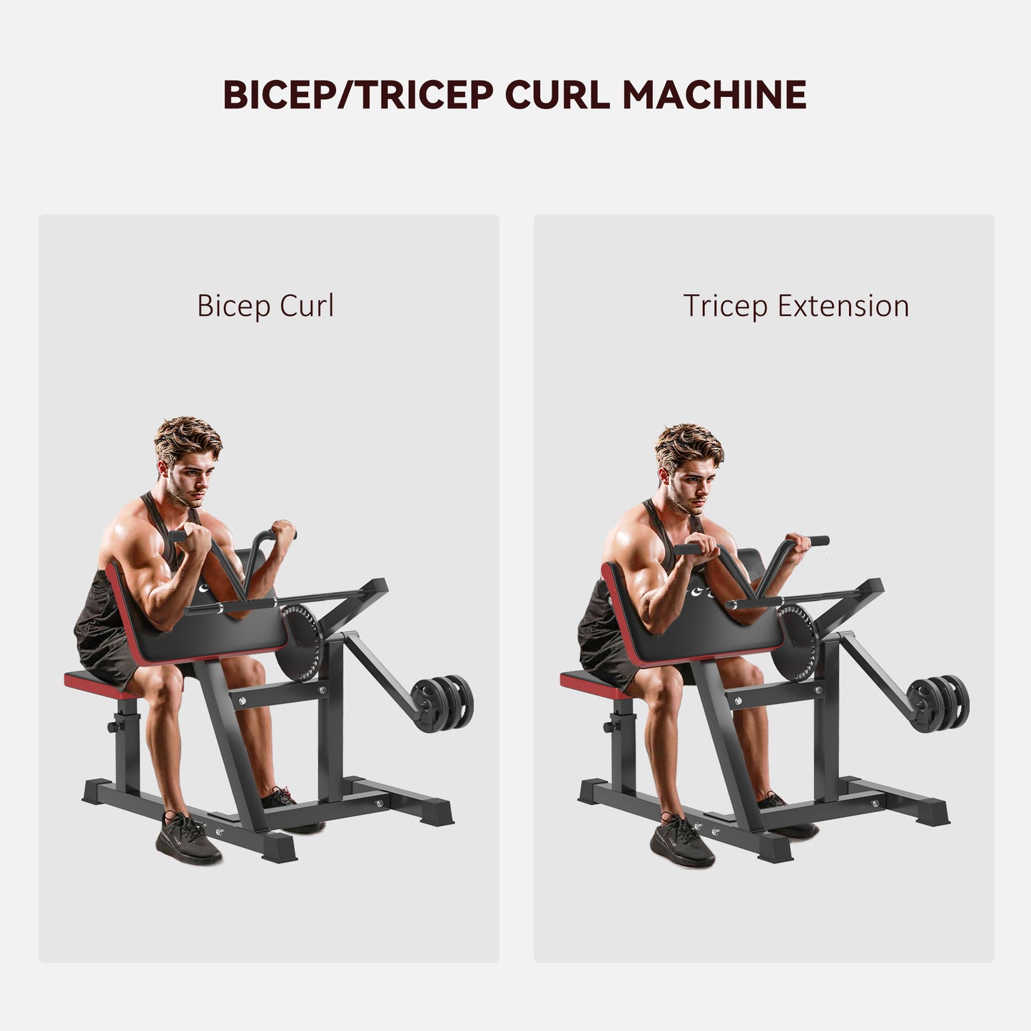 2-in-1 Preacher Curl & Tricep Extension Bench | Adjustable Home Gym Strength Machine